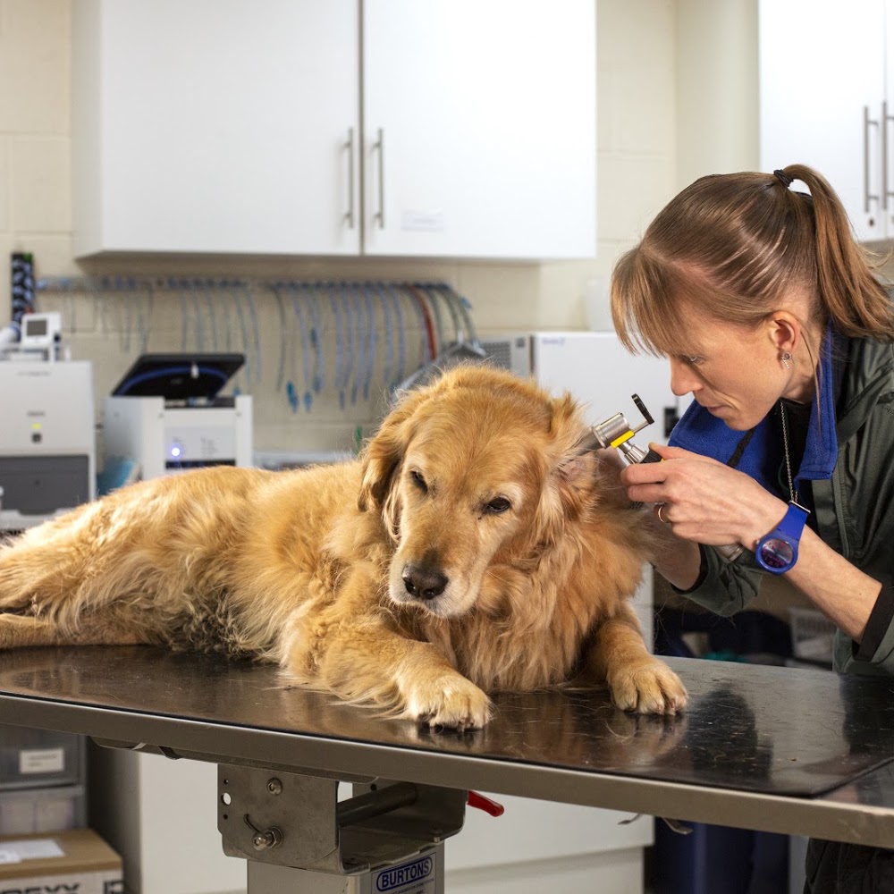 Thrums Vets Blairgowrie in Blairgowrie