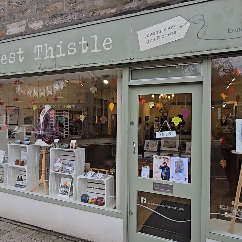Honest Thistle in Pitlochry