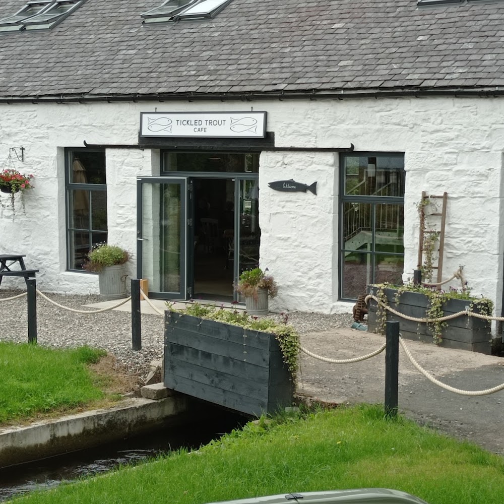 College Mill Trout Farm in Almondbank