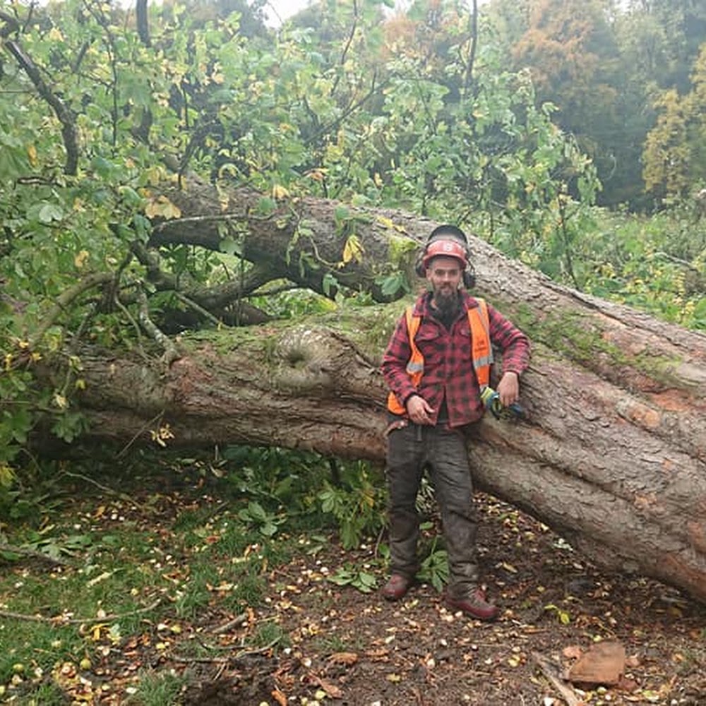 SM Forestry Ltd in Ballinluig