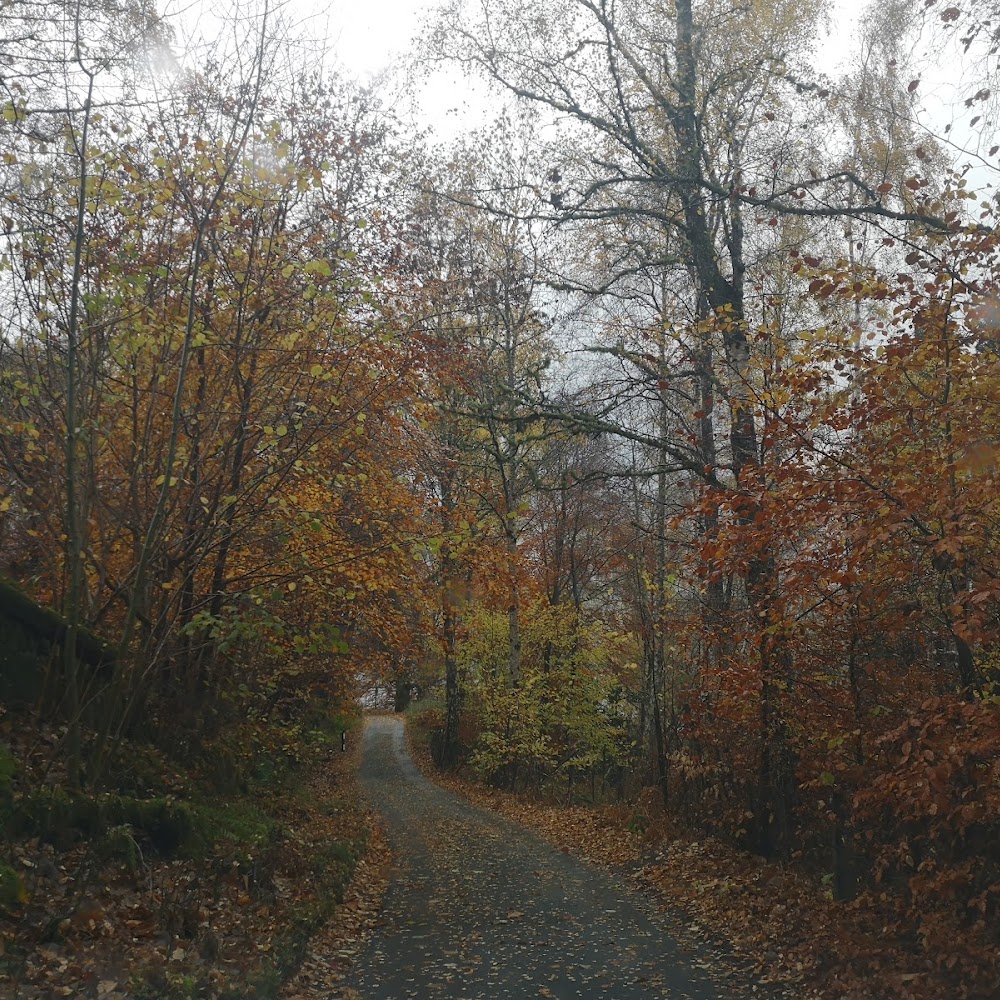 R. Dewar Tree Care in Fortingall